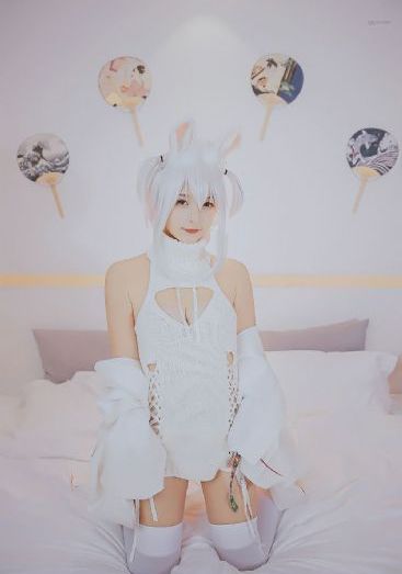 特战荣耀免费观看