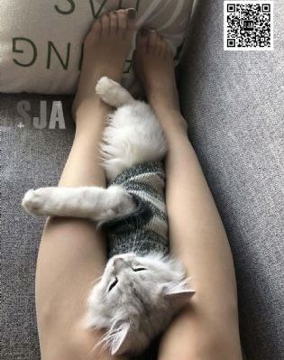 外貌协会