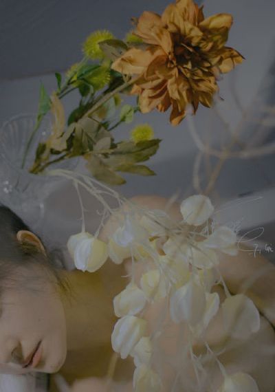 星汉灿烂免费观看全集完整版高清