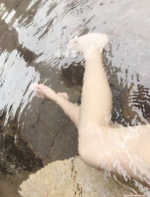 间谍过家家第二季免费播放